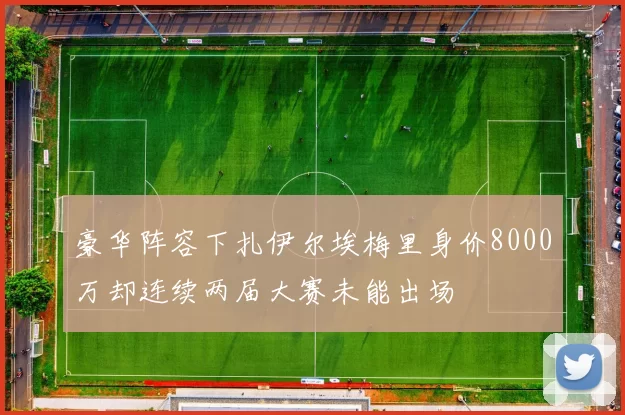 豪华阵容下扎伊尔埃梅里身价8000万却连续两届大赛未能出场