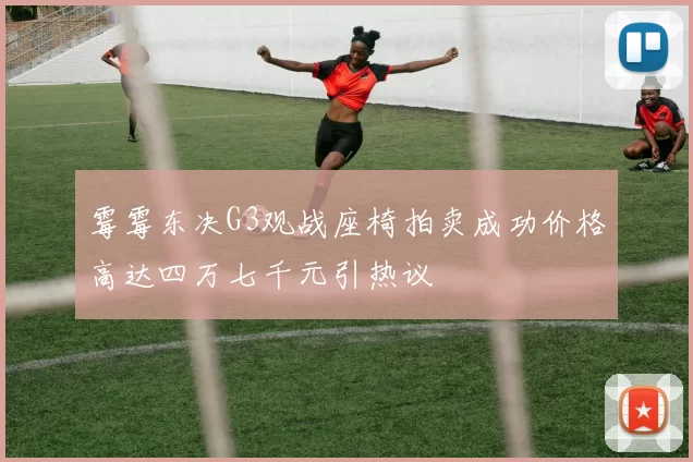 霉霉东决G3观战座椅拍卖成功价格高达四万七千元引热议