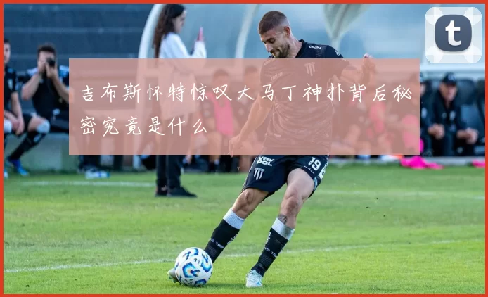 吉布斯怀特惊叹大马丁神扑背后秘密究竟是什么